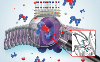 A new technique will streamline the design of drugs targeting proteins involved in a wide range of diseases.