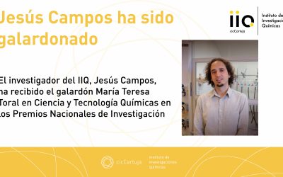 Jesús Campos: “My greatest contribution is the students who have come out of my research group.”