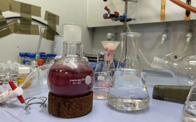 Researchers from the Institute of Chemical Research achieve a promising breakthrough in the fight against breast cancer.