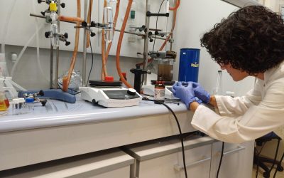 El IIQ oferta siete contratos en la convocatoria de Técnicos de Apoyo y Gestión I+D+i Andalucía 2025
